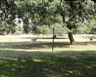 Jardí de Finca rústica en venda en Chillón