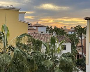 Vista exterior de Àtic en venda en Torrevieja amb Aire condicionat i Terrassa