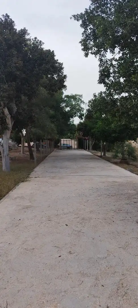 Parking of Houses for sale in Almoradí  with Terrace, Swimming Pool and Balcony