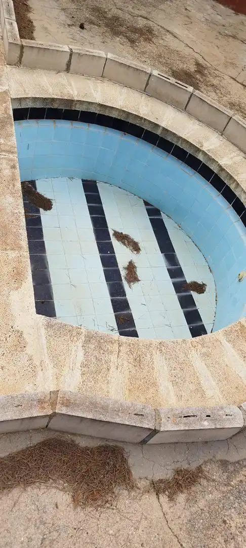 Swimming pool of Houses for sale in Almoradí  with Terrace, Swimming Pool and Balcony