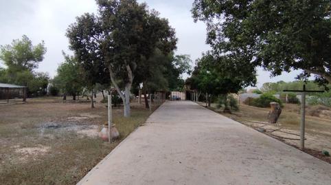 House or chalet for sale in Partida Rafaela, 9n, Almoradí, Alicante - image 2 Photo 2 of House or chalet for sale in Partida Rafaela, 9n, Almoradí, Alicante