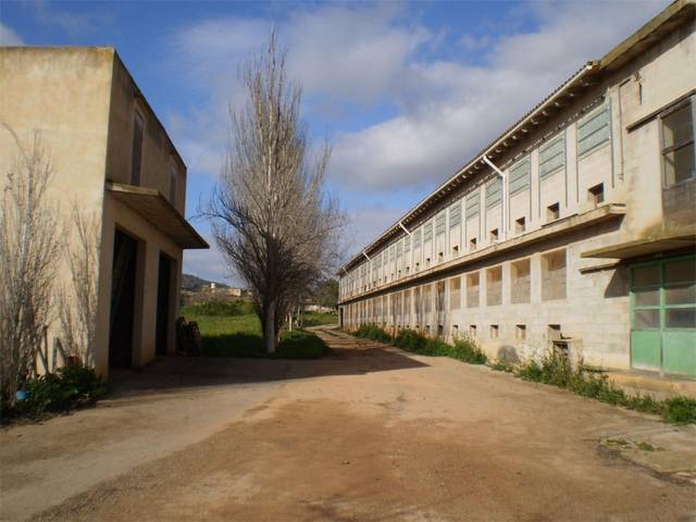 Trastero en Alquiler en Diseminado Poligono 8, 785 en S'Alquería Blanca - Calonge