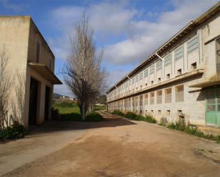 Exterior view of Box room to rent in Santanyí