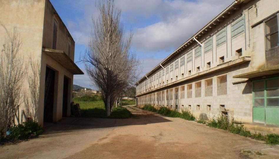 Box room to rent in Diseminado Poligono 8, 785, S'Alquería Blanca - Calonge, Illes Balears - image 1 Photo 1 of Box room to rent in Diseminado Poligono 8, 785, S'Alquería Blanca - Calonge, Illes Balears