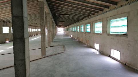 Box room to rent in Diseminado Poligono 8, 785, S'Alquería Blanca - Calonge, Illes Balears - image 2 Photo 2 of Box room to rent in Diseminado Poligono 8, 785, S'Alquería Blanca - Calonge, Illes Balears