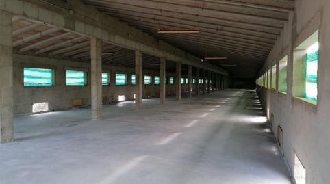 Box room to rent in Diseminado Poligono 8, 785, S'Alquería Blanca - Calonge, Illes Balears - image 3 Photo 3 of Box room to rent in Diseminado Poligono 8, 785, S'Alquería Blanca - Calonge, Illes Balears