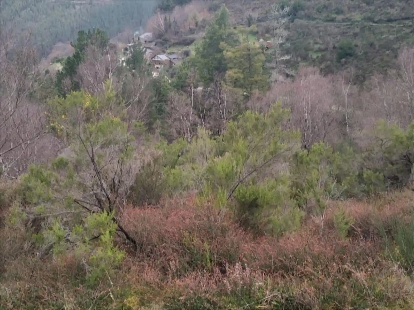 Casa o chalet en venta en Negueira de Muñiz Casa o chalet en venta en Negueira de Muñiz con Calefacción, Jardín privado y Parquet