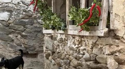 Casa adosada en venda a Calle Federico García Lorca, 9, Uleila del Campo, Almería - imatge 2 Foto 2 de Casa adosada en venda a Calle Federico García Lorca, 9, Uleila del Campo, Almería