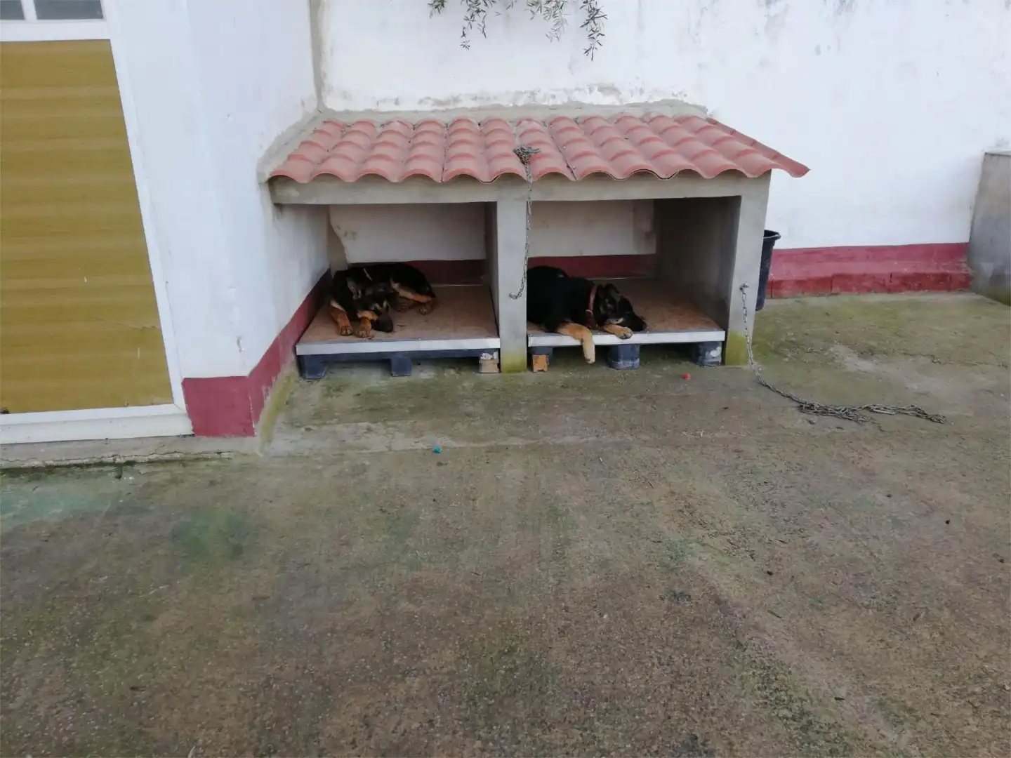Casa o chalet en venta en Calle Carril, 6, Puente Tablas - Puente Nuevo - Cerro Molina Vista exterior de Casa o chalet en venta en Jaén Capital con Aire acondicionado, Terraza y Piscina