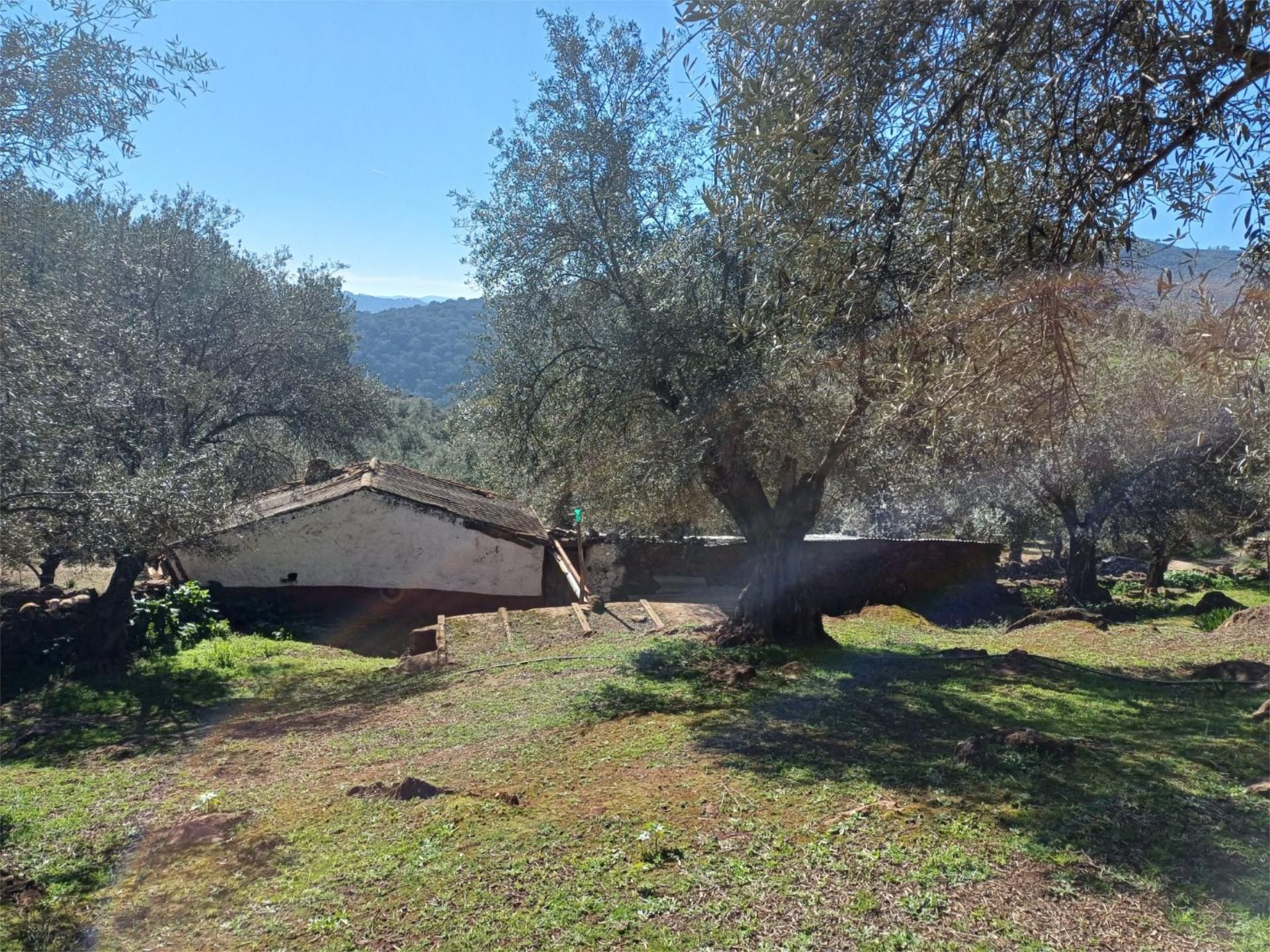 Finca rústica en venda en Fuentes de León