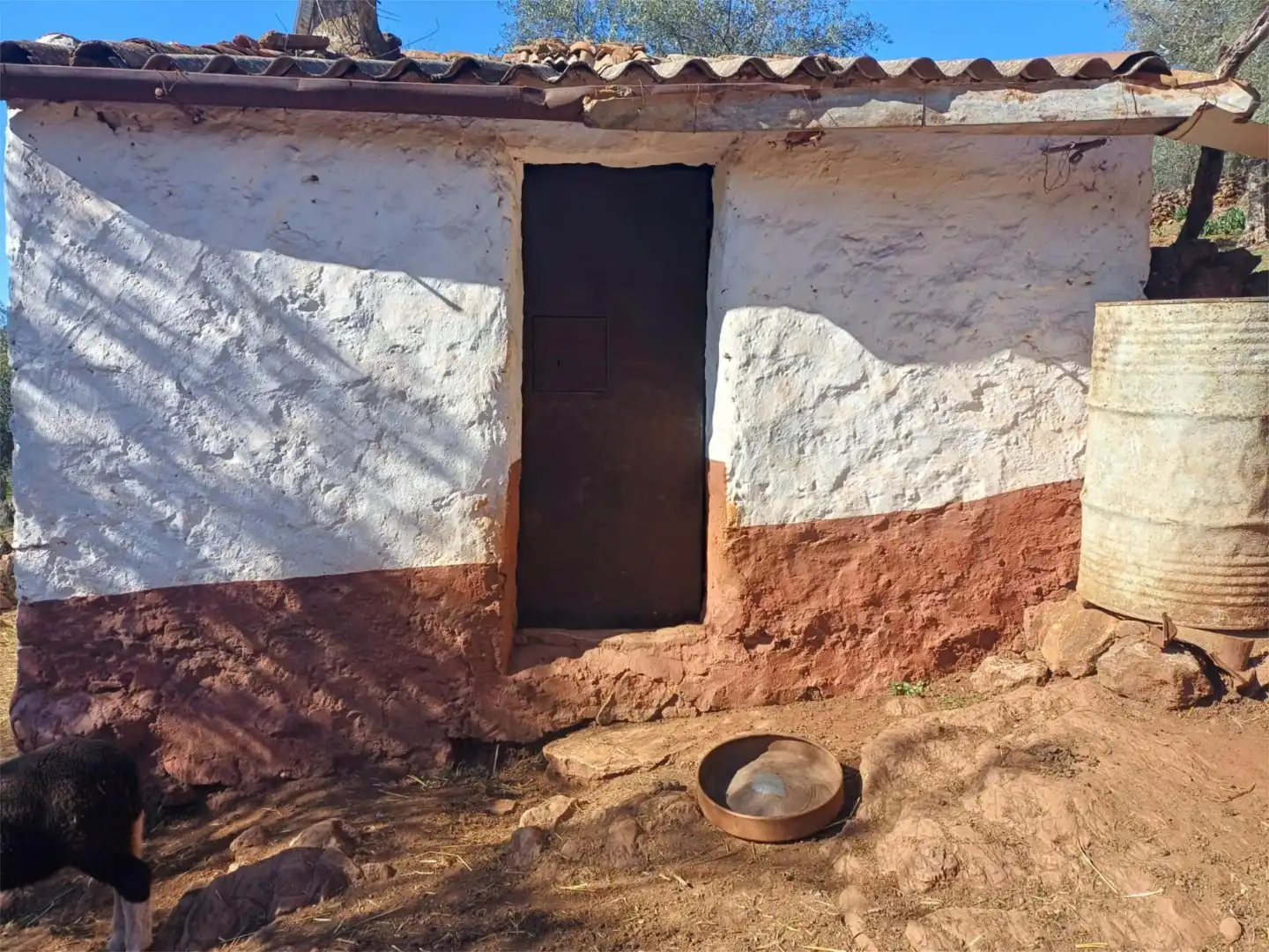 Finca rústica en venta en Calle Zurbarán, 10, Fuentes de León Vista exterior de Finca rústica en venta en Fuentes de León