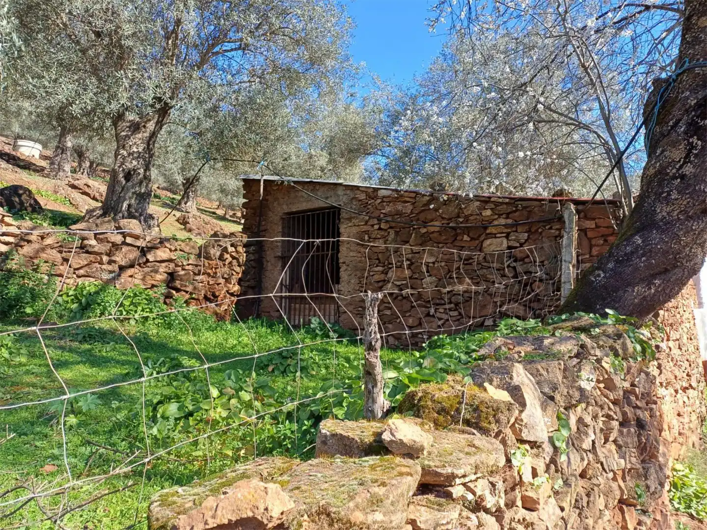 Finca rústica en venta en Calle Zurbarán, 10, Fuentes de León Vista exterior de Finca rústica en venta en Fuentes de León