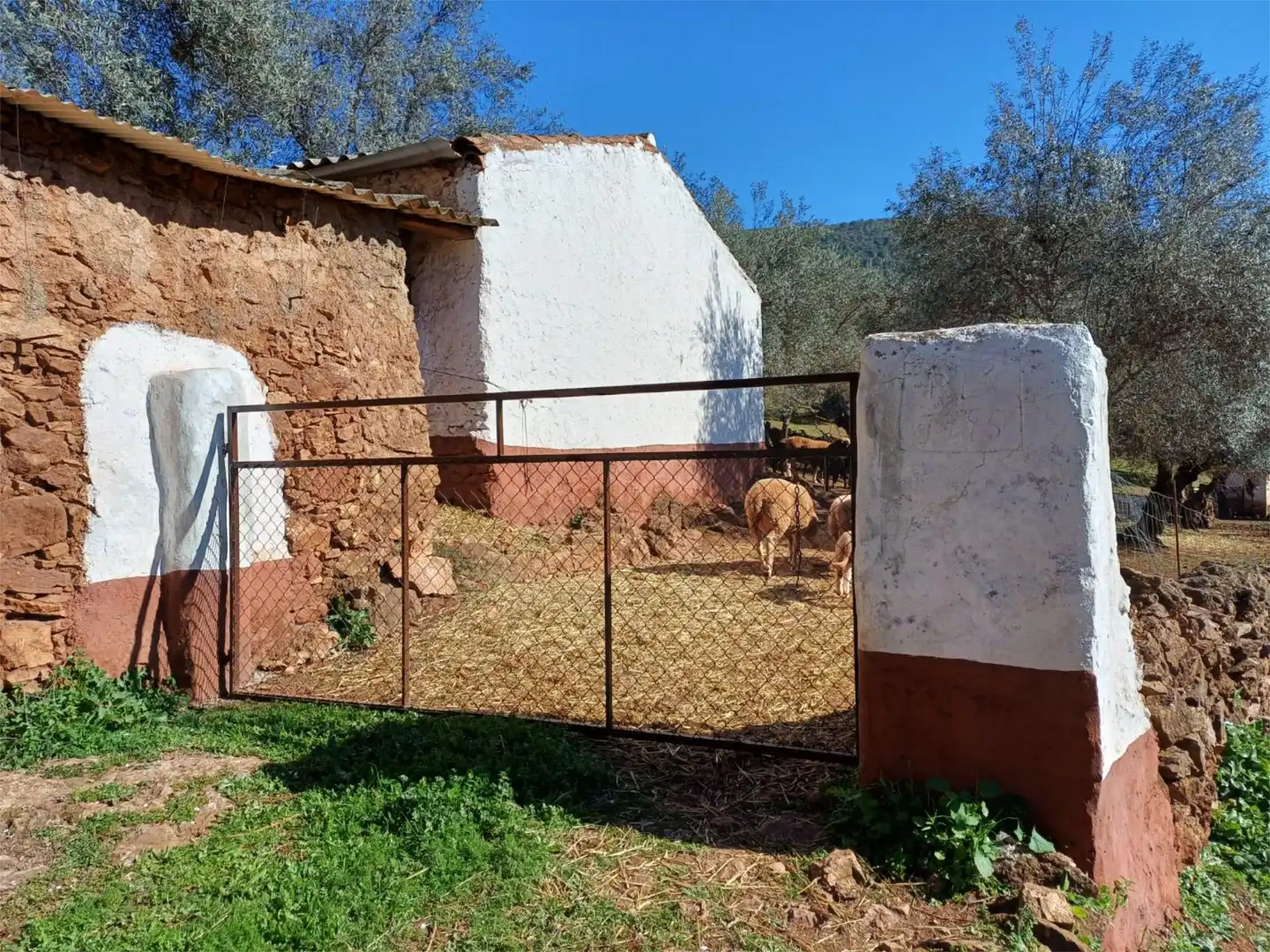 Finca rústica en venta en Calle Zurbarán, 10, Fuentes de León Jardín de Finca rústica en venta en Fuentes de León