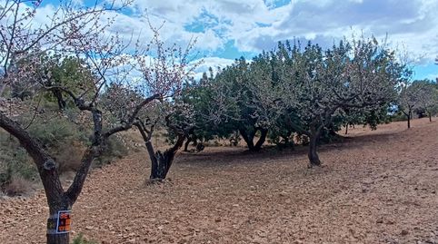 Foto 3 de Terreno en venta en Useras / Les Useres, Castellón