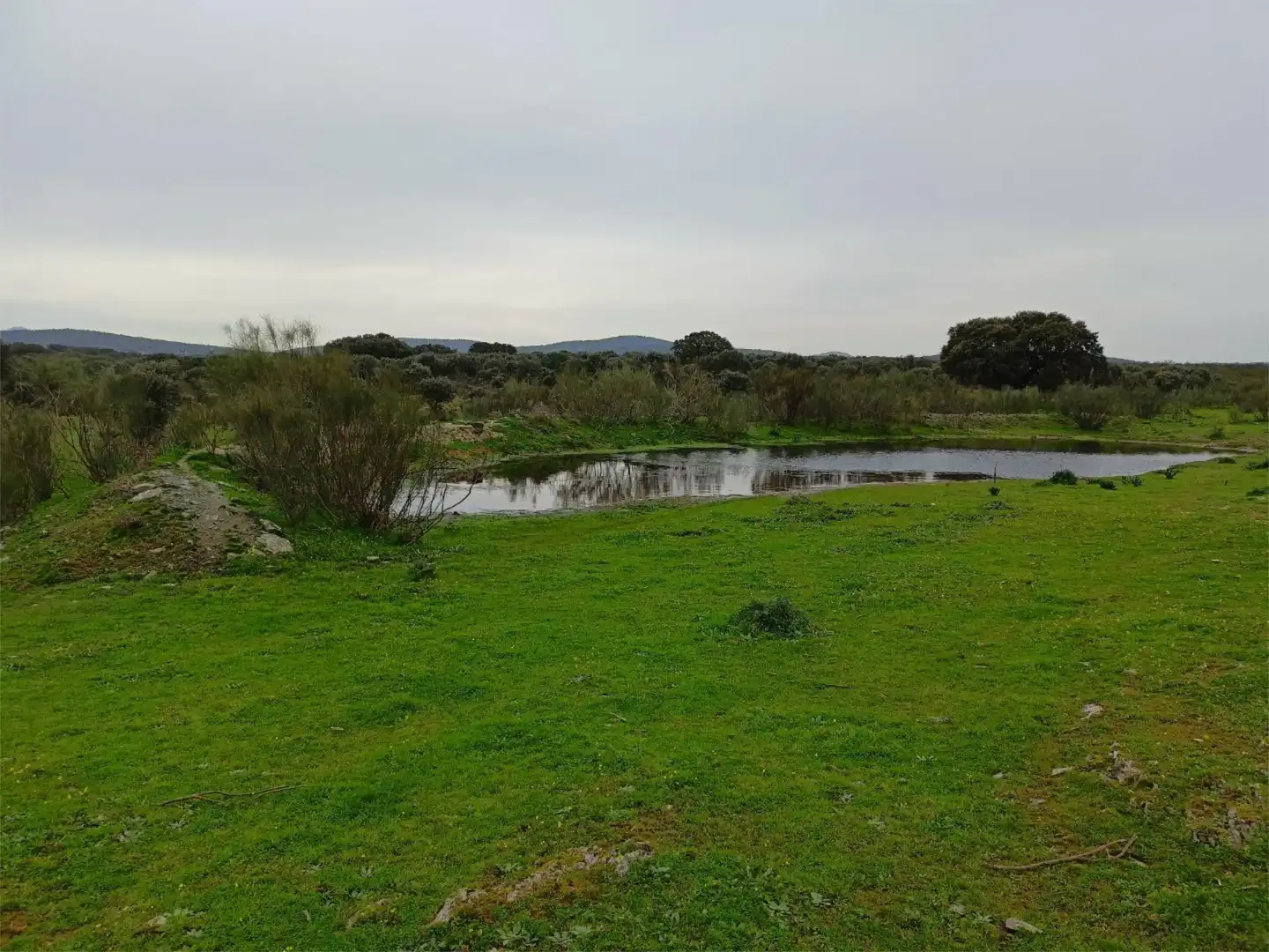 Terreno en venta en Calle Federico García Lorca, 45, Aldeacentenera Terreno en venta en Aldeacentenera