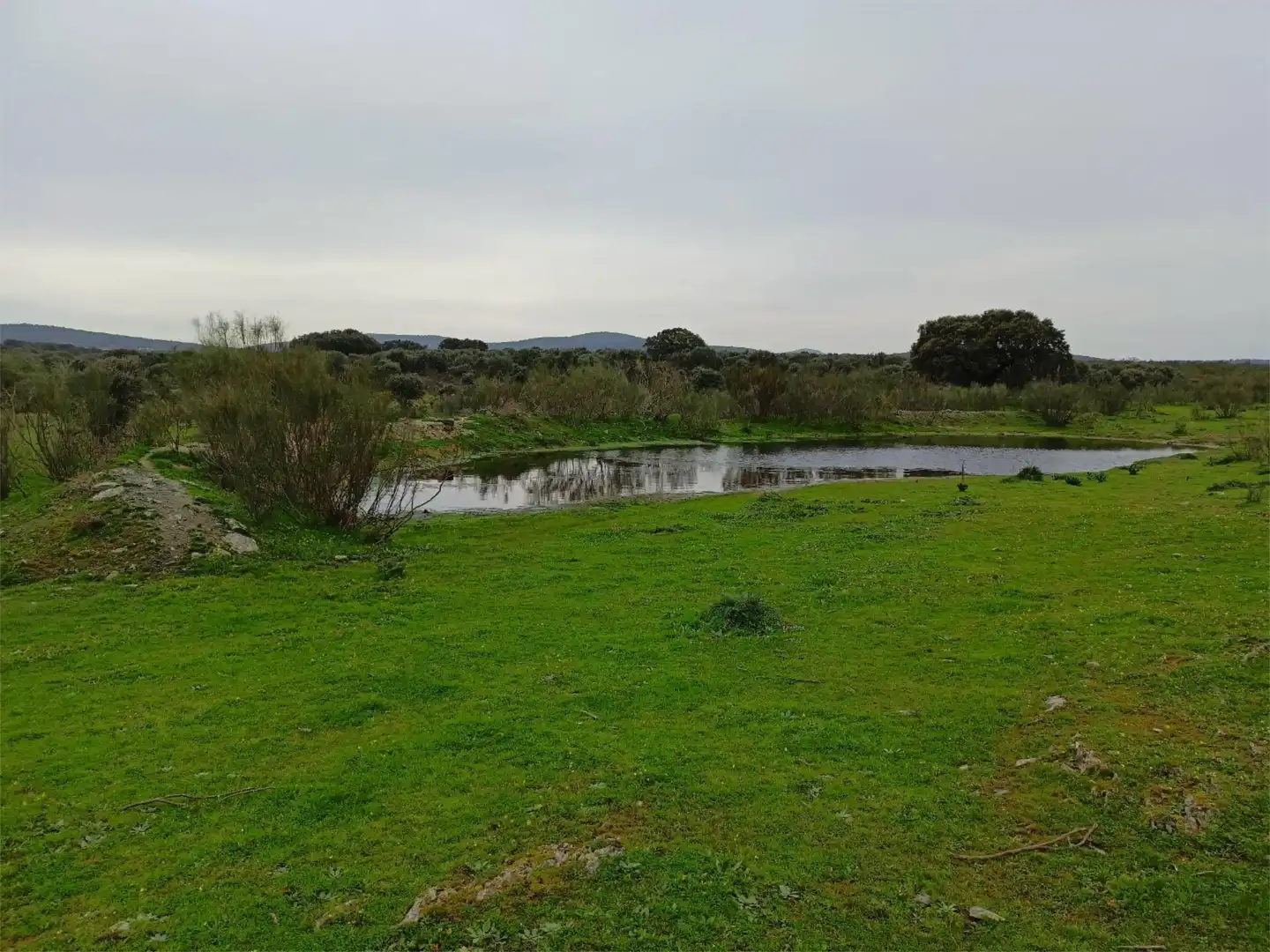 Terreno en venta en Calle Federico García Lorca, 45, Aldeacentenera Terreno en venta en Aldeacentenera