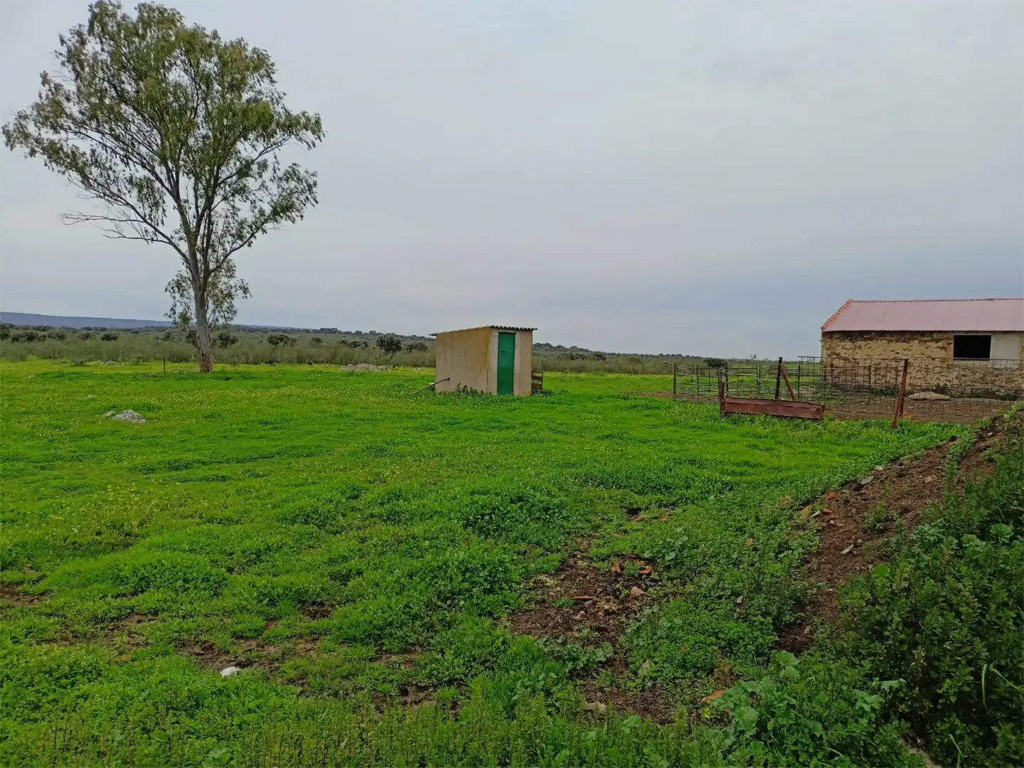 Terreno en venta en Calle Federico García Lorca, 45, Aldeacentenera Terreno en venta en Aldeacentenera