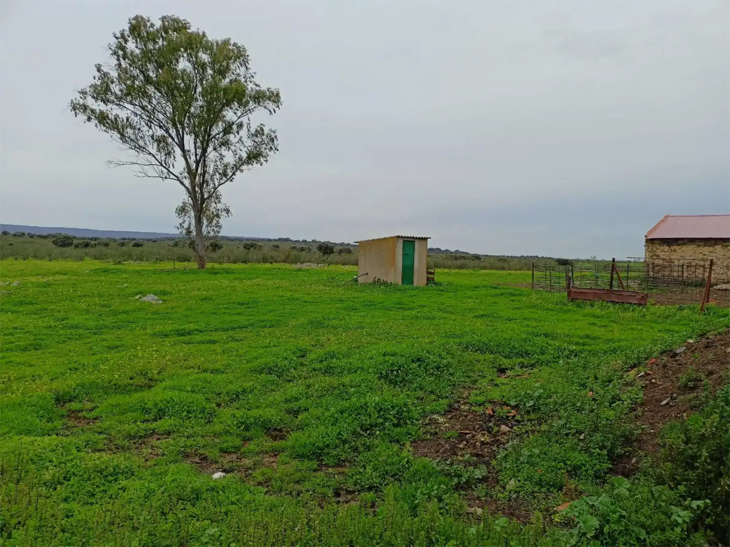 Terreno en venta en Calle Federico García Lorca, 45, Aldeacentenera Terreno en venta en Aldeacentenera