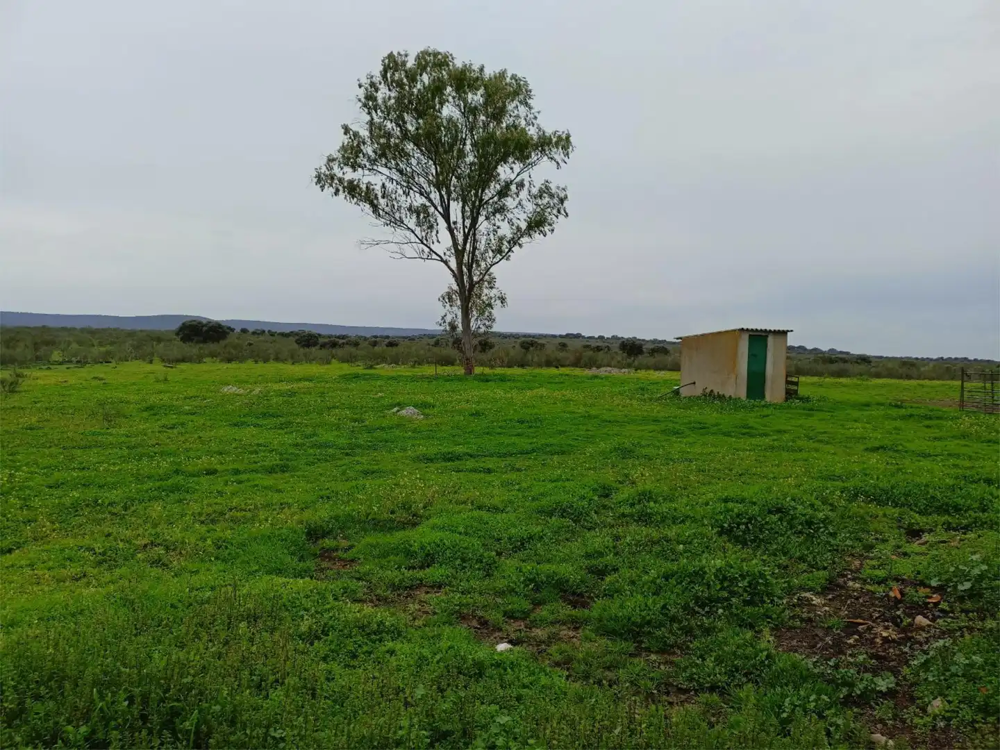 Terreno en venta en Calle Federico García Lorca, 45, Aldeacentenera Terreno en venta en Aldeacentenera