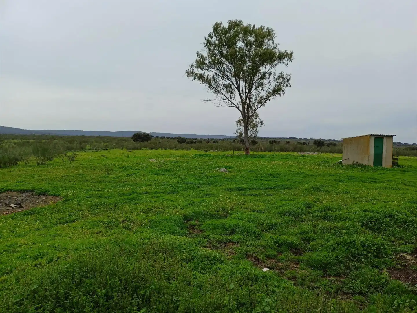 Terreno en venta en Calle Federico García Lorca, 45, Aldeacentenera Terreno en venta en Aldeacentenera