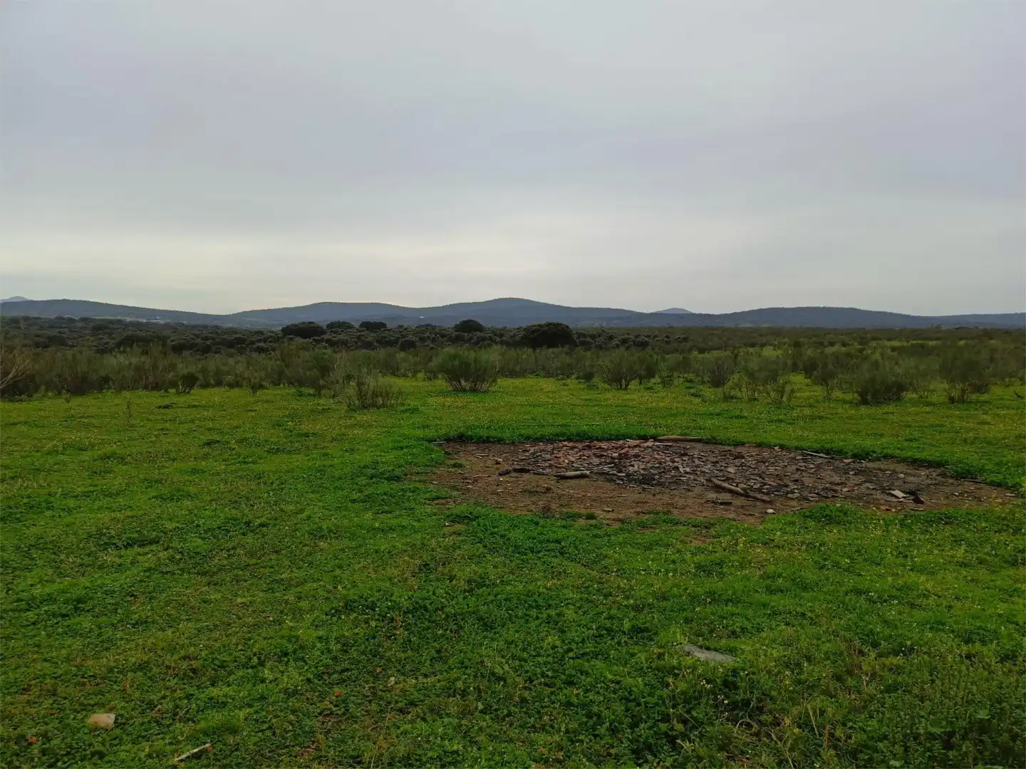 Terreno en venta en Calle Federico García Lorca, 45, Aldeacentenera Terreno en venta en Aldeacentenera