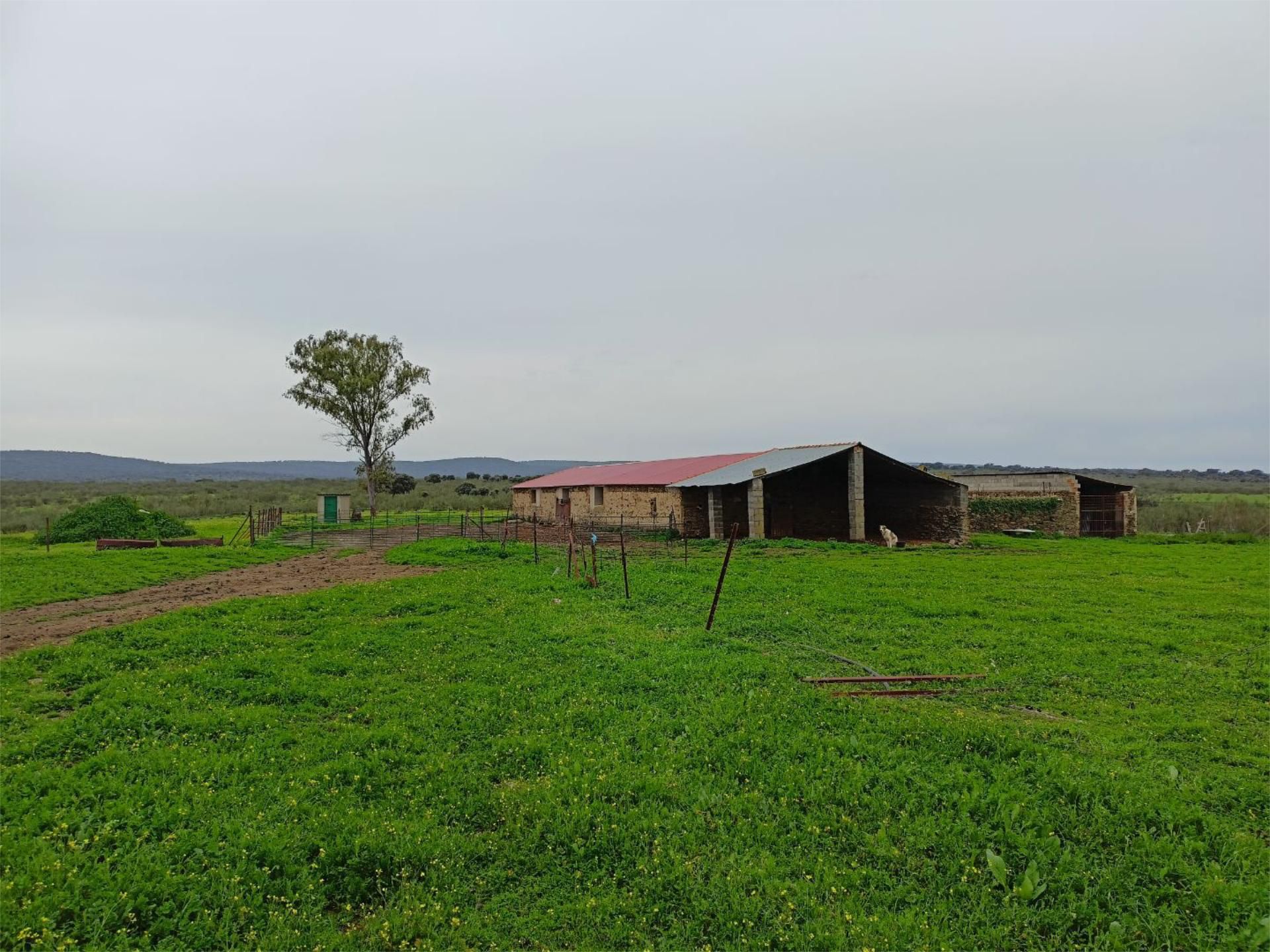 Land for sale in Aldeacentenera