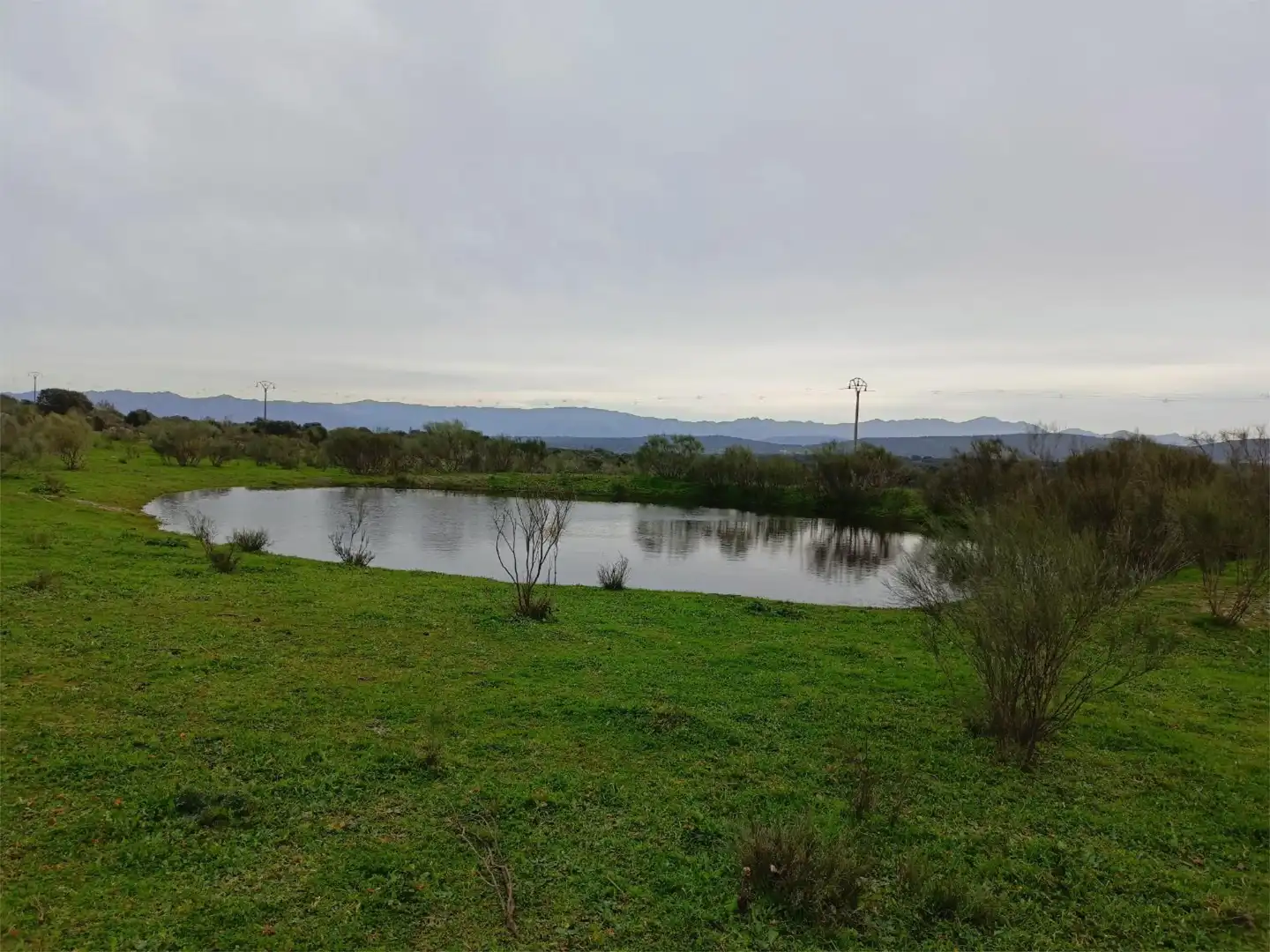 Terreno en venta en Calle Federico García Lorca, 45, Aldeacentenera Terreno en venta en Aldeacentenera