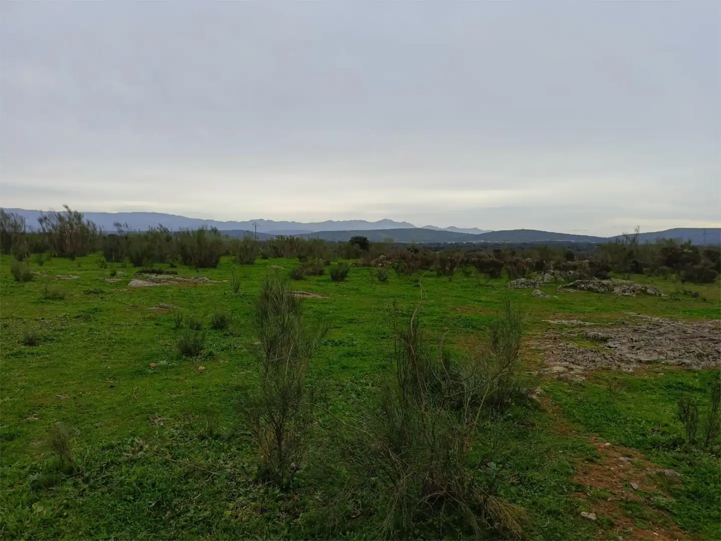 Terreno en venta en Calle Federico García Lorca, 45, Aldeacentenera Terreno en venta en Aldeacentenera