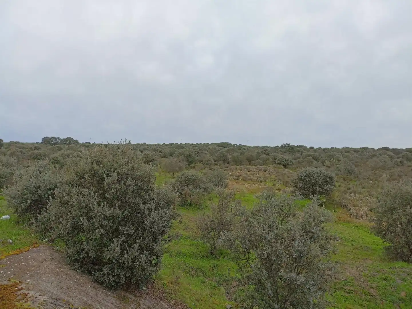 Terreno en venta en Calle Federico García Lorca, 45, Aldeacentenera Terreno en venta en Aldeacentenera