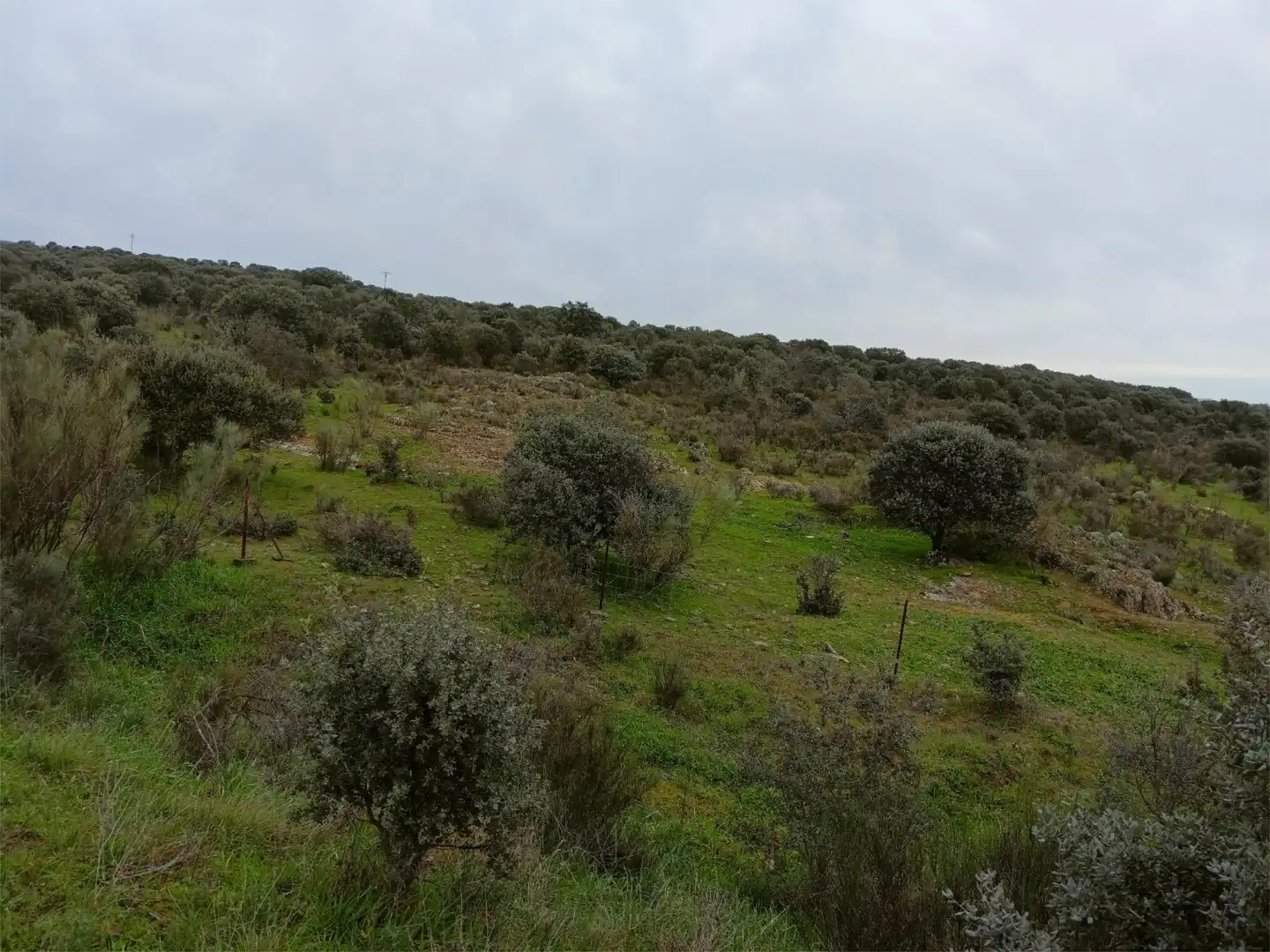 Terreno en venta en Calle Federico García Lorca, 45, Aldeacentenera Terreno en venta en Aldeacentenera