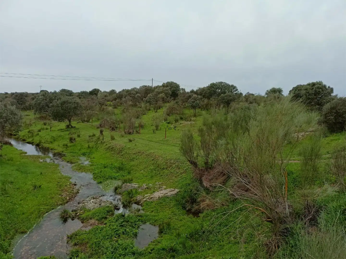 Terreno en venta en Calle Federico García Lorca, 45, Aldeacentenera Terreno en venta en Aldeacentenera