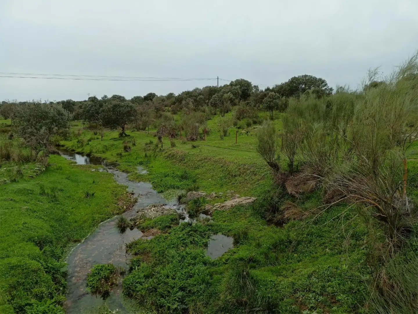 Terreno en venta en Calle Federico García Lorca, 45, Aldeacentenera Terreno en venta en Aldeacentenera
