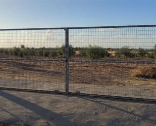 Finca rústica en venda en Carrión de Calatrava