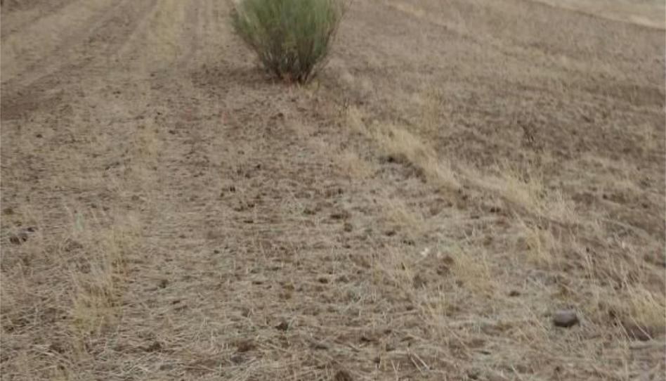 Foto 1 de Terreny en venda a Calle Molino de Viento, 27, Campillo de Llerena, Badajoz