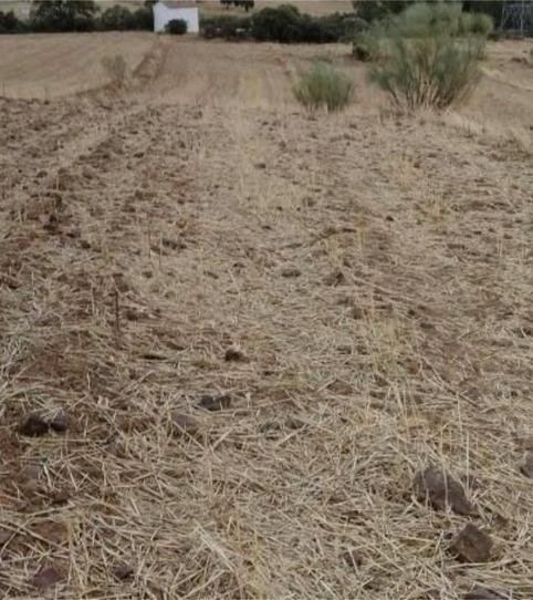 Foto 2 de Terreny en venda a Calle Molino de Viento, 27, Campillo de Llerena, Badajoz