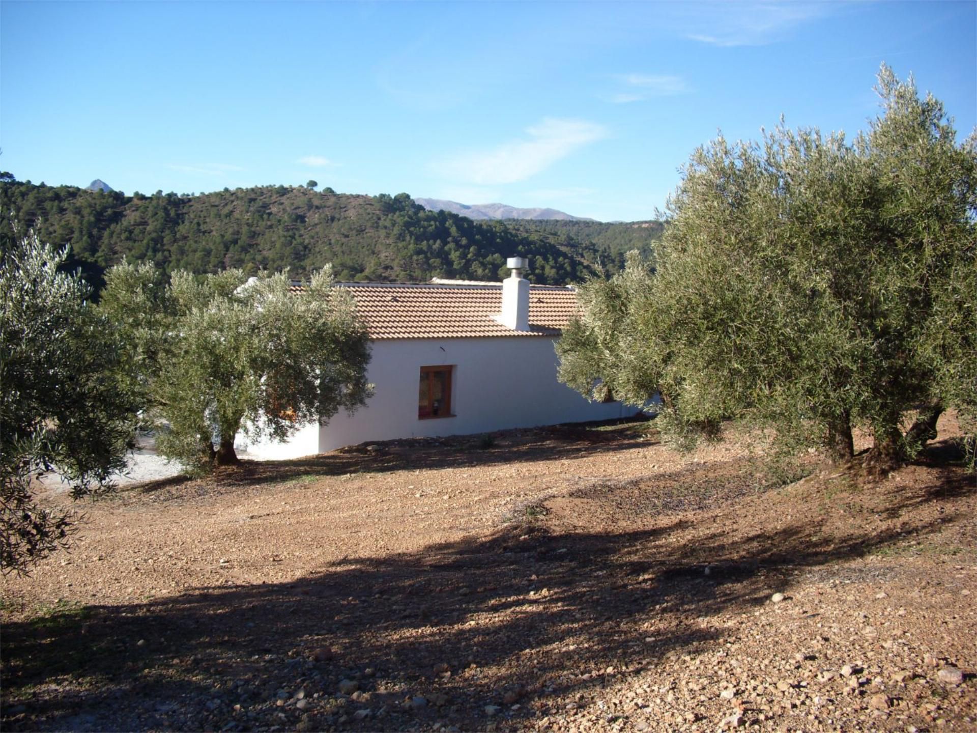 Vista exterior de Casa o xalet en venda en Jayena amb Jardí privat