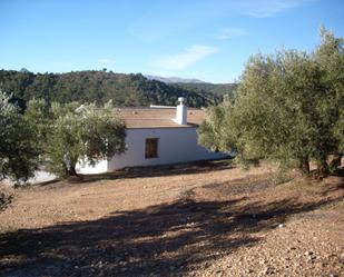 Vista exterior de Casa o xalet en venda en Jayena amb Jardí privat