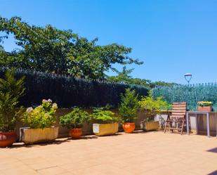Terrace of Flat for sale in Aia  with Terrace