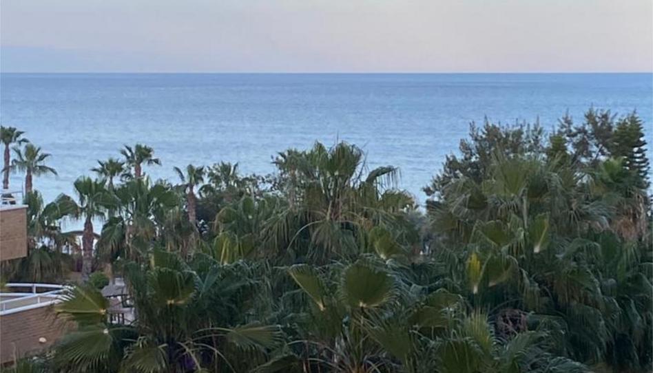 Pis de lloguer a Carrer Calle E Sector R4a, 3, Sol Park, Castellón - imatge 1 Foto 1 de Pis de lloguer a Carrer Calle E Sector R4a, 3, Sol Park, Castellón