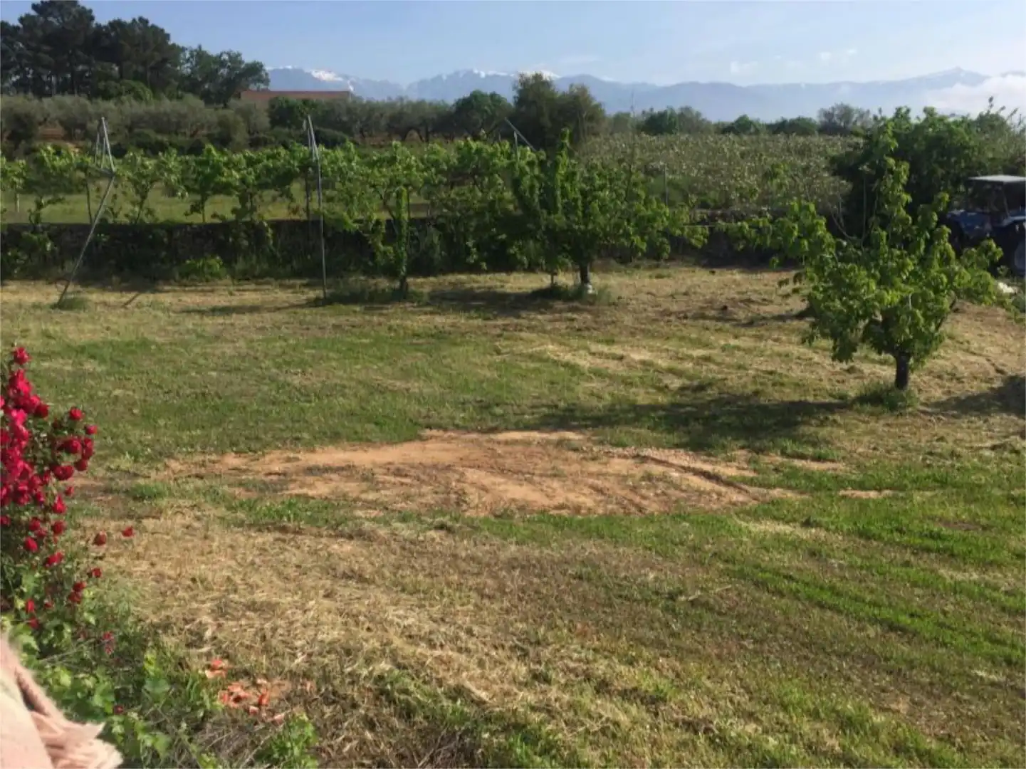 Finca rústica en venda en Alcubillas