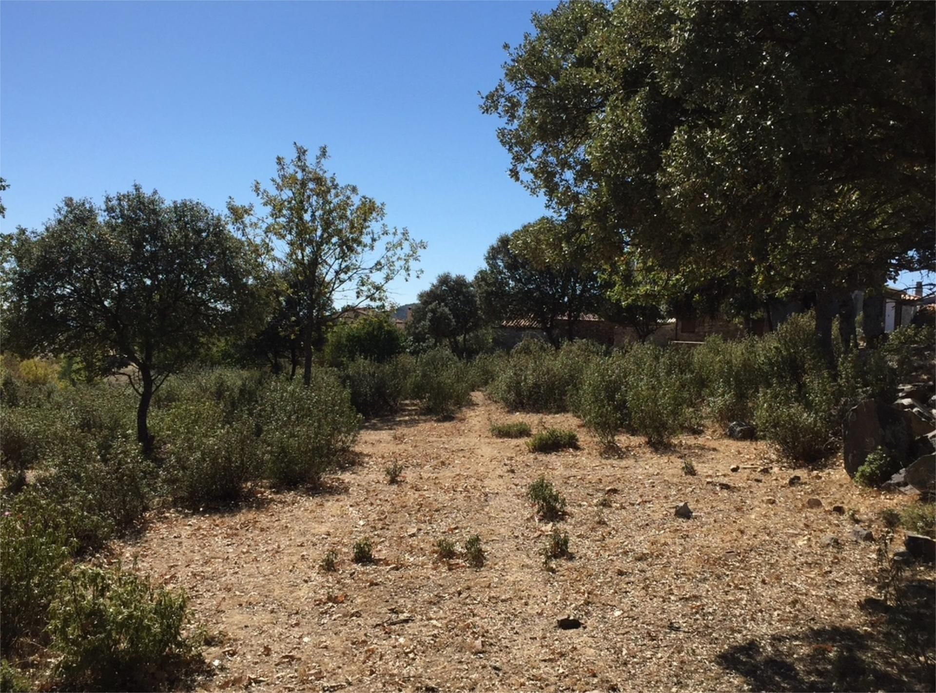 Land for sale in El Ordial