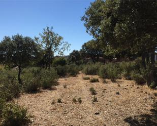 Land for sale in El Ordial