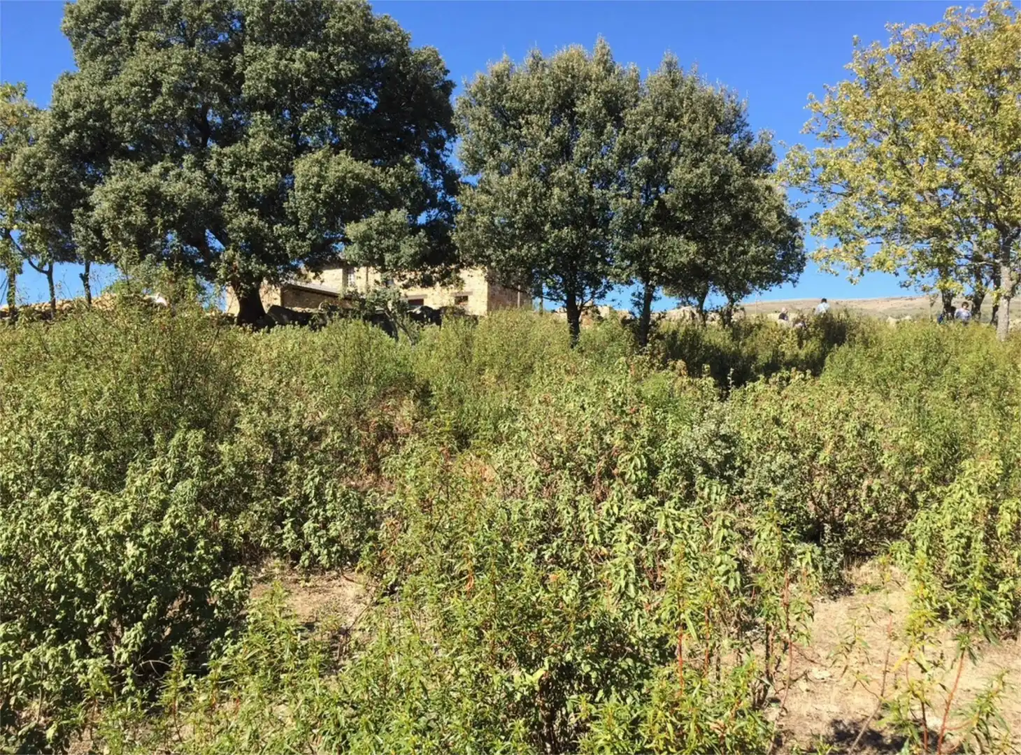 Grundstücke zum Verkauf in El Ordial