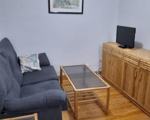 Living room of Flat for sale in Burgos Capital  with Terrace and Balcony