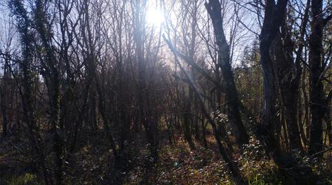 Country house to rent in A Malata - Catabois - Ciudad Jardín, A Coruña - image 3 Photo 3 of Country house to rent in A Malata - Catabois - Ciudad Jardín, A Coruña