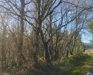 Finca rústica de lloguer a A Malata - Catabois - Ciudad Jardín