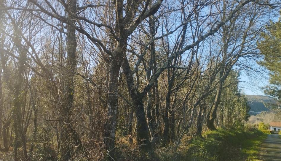 Country house to rent in A Malata - Catabois - Ciudad Jardín, A Coruña - image 1 Photo 1 of Country house to rent in A Malata - Catabois - Ciudad Jardín, A Coruña