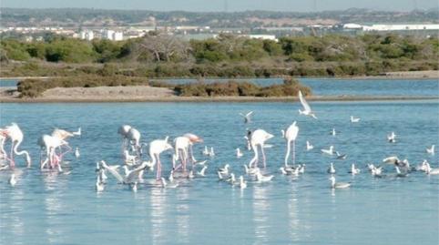 Casa adosada en venda a Calle Espronceda, 2a, San Pedro del Pinatar ciudad, Murcia - imatge 4 Foto 4 de Casa adosada en venda a Calle Espronceda, 2a, San Pedro del Pinatar ciudad, Murcia