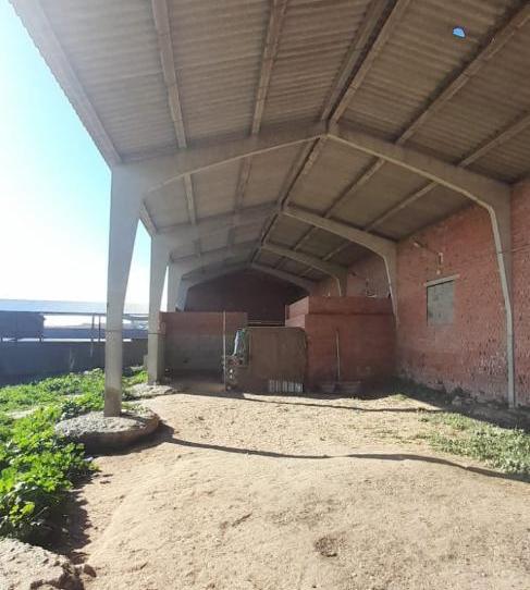 Foto 1 de Finca rústica en venta en Calle Cadena, 468, Almorox, Toledo