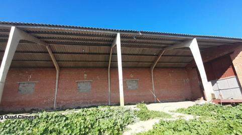 Foto 4 de Finca rústica en venta en Calle Cadena, 468, Almorox, Toledo